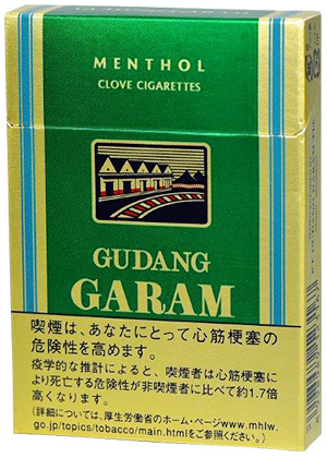 Gudang Garam Menthol 16参考包装:绿色盒面配金色纵边,上方MENTHOL,中部为仓库与铁路线图标